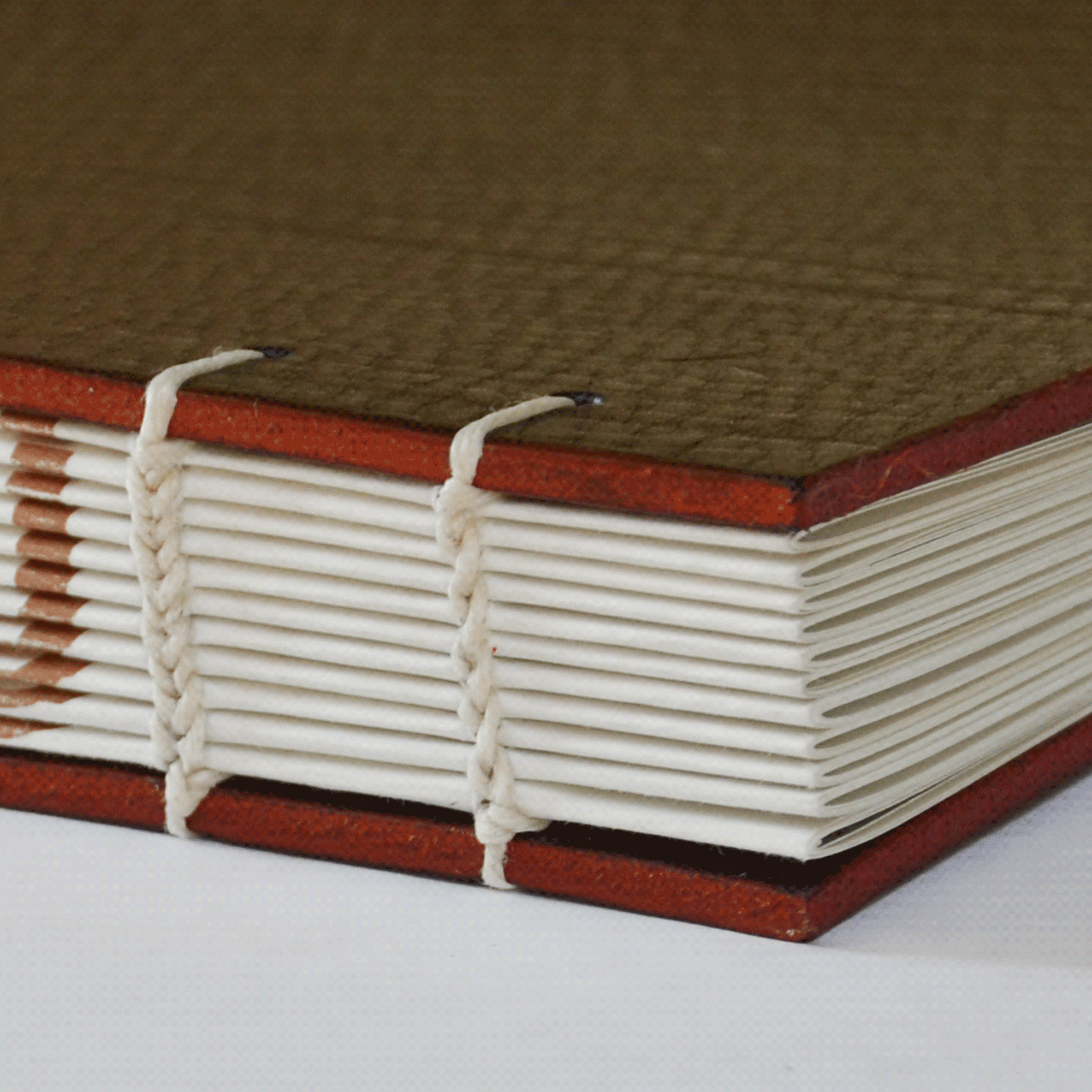 Bindung Buchbindung eines handgebundenen Shibaku Buchs
