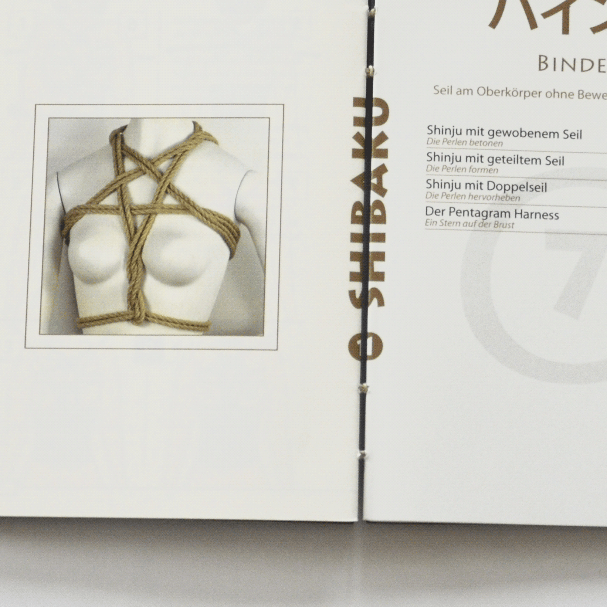 Bundwechsel Bundwechsel in einem handgebundenen Shibaku Buch