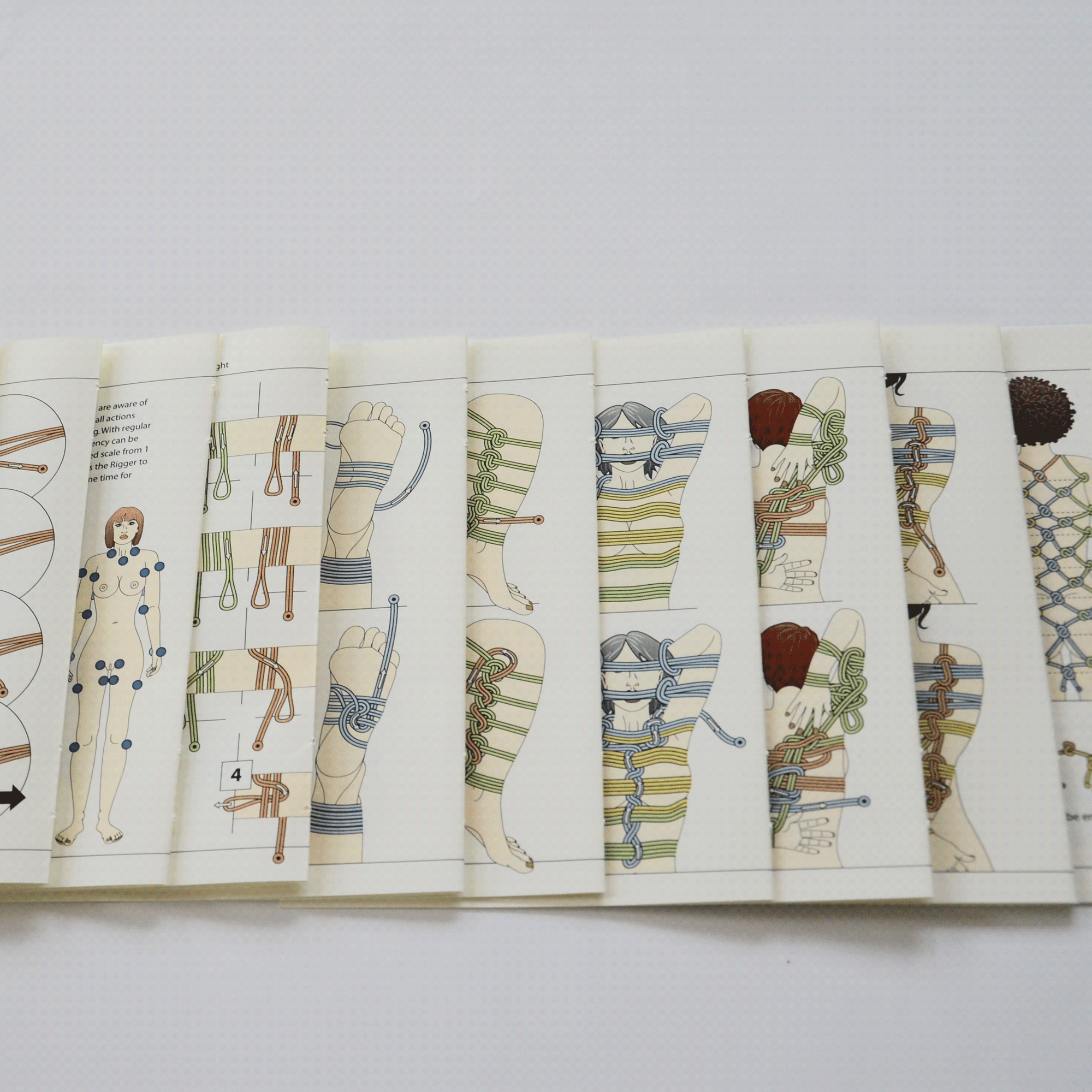 Illustration Illustrationen in einem Shibaku Fesselbuch