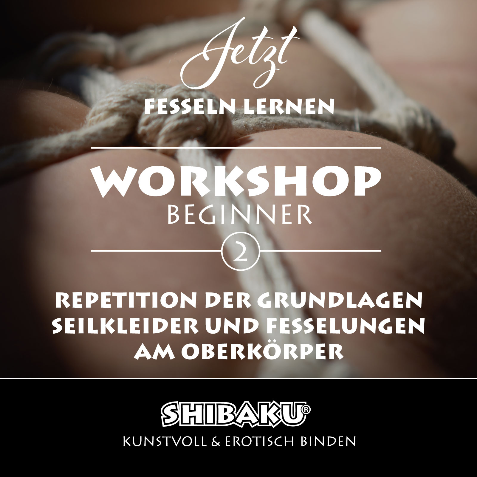 Workshop Beginner (Teil 2)